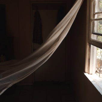 Marina Perez Profile