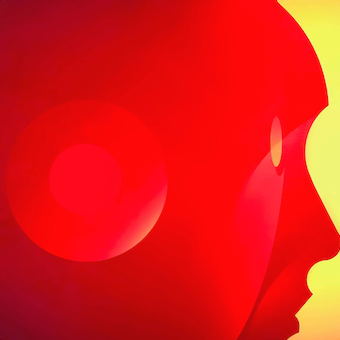 Matthew Davis Profile