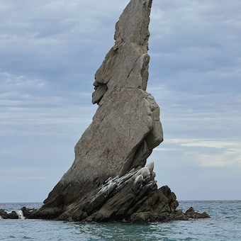 Myriam Boisselle Profile