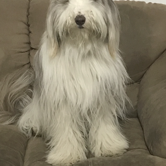 Scott Sawitz Profile