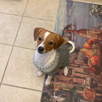 Varun Chopra Profile