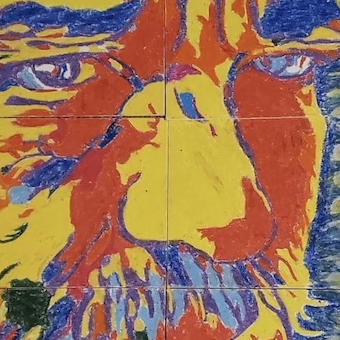 Julian Martin Profile