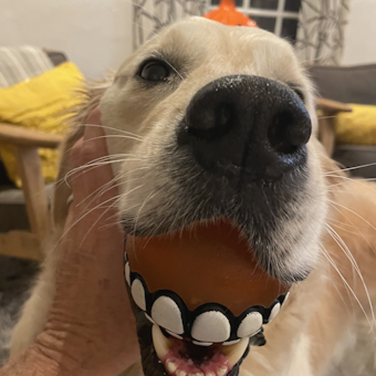 Guy Nickerson Profile