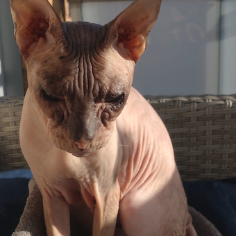 Becky Beamer Profile