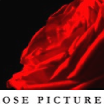 rose ganguzza Profile